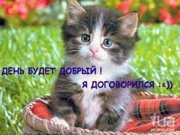 Добряки, плюсующие всех подряд