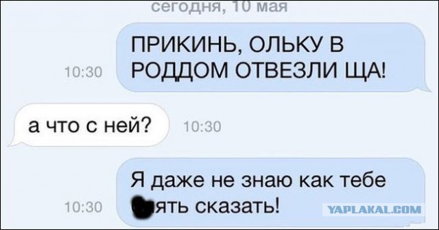 Веселые картинки