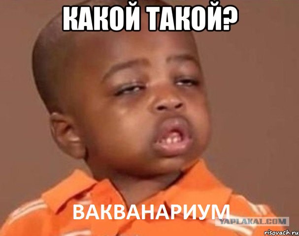 Дочь прислала видео сообщение