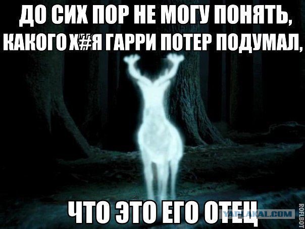 Весёлое из сети