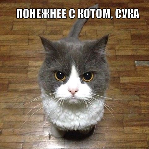 Танцы зомбаков