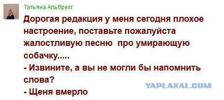 Смешные комментарии из социальных сетей
