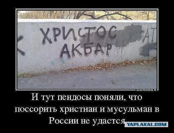 10 политических картинок часть 13