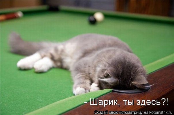 Немного картинок и демотиваторов