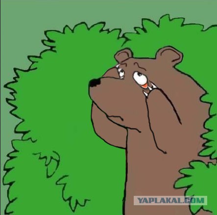 Девки, вам чего, мужиков мало?
