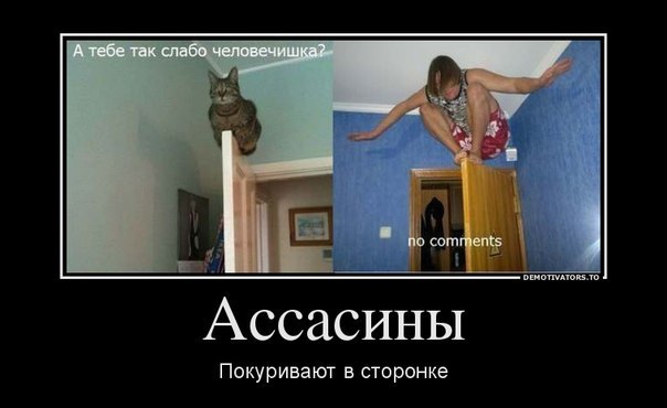 Позитив на воскресенье
