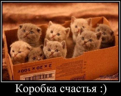 Картинки на утро вторника