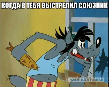 Wargaming 31