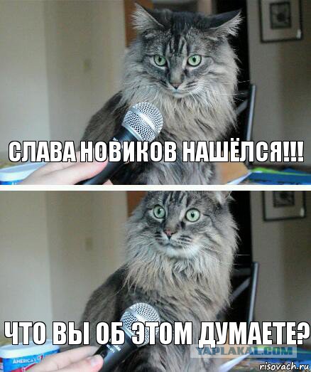 У меня грустные новости для соЯПовца. Слава Новиков тут есть?