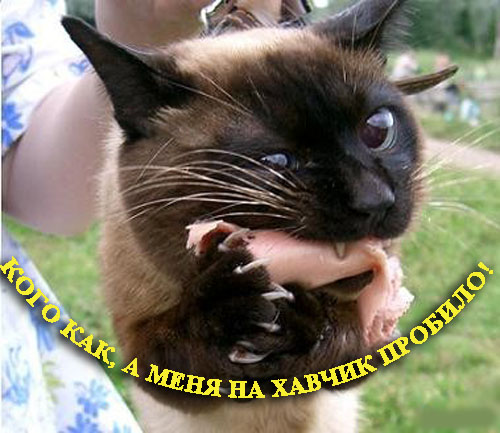 Уже да :) Ужо пятнецца...
