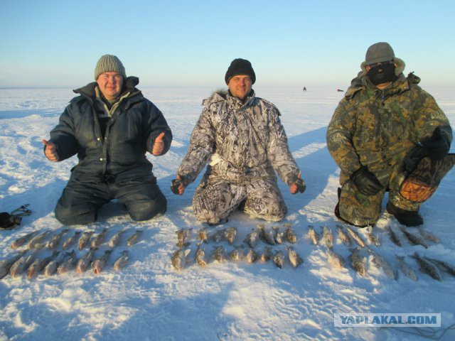 Рыбалка на Устье Камы и Волги (красоты морозной пост)