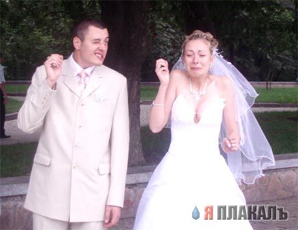 Свадьба, женихи и невесты
