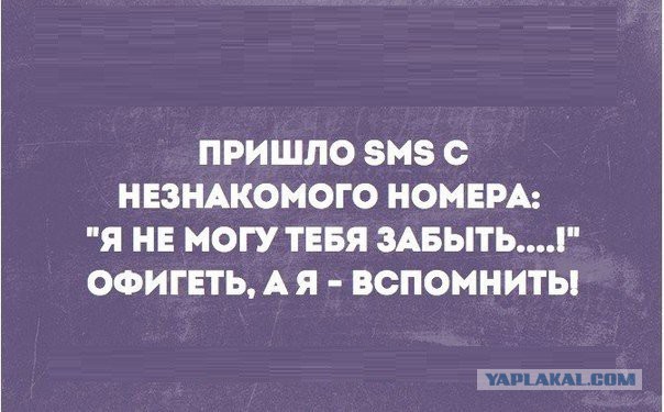 29 юморных открыток