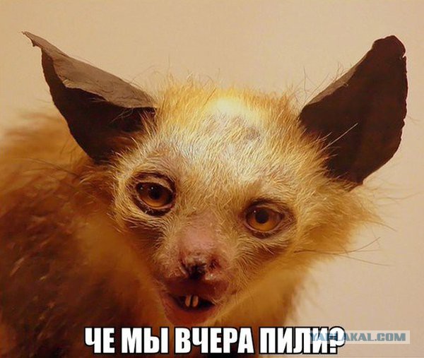 Подборка идиотских фотографий часть 3