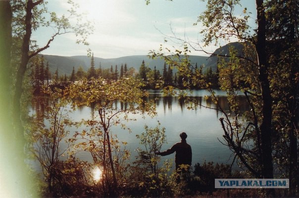 Подборка картинок 29.03.16