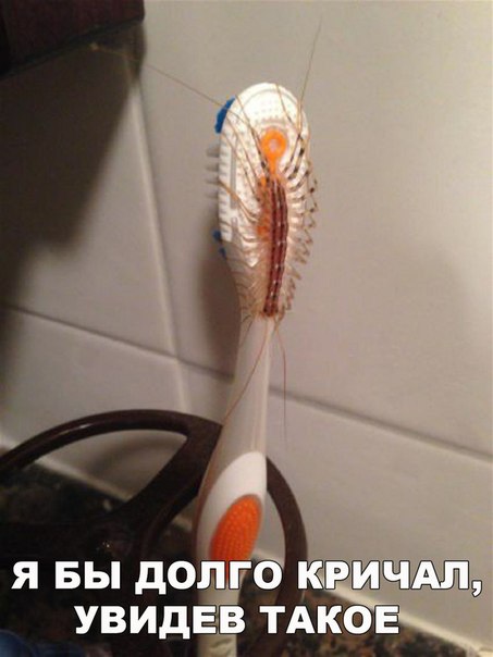 Ужасы и приколы из соцсетей 18+