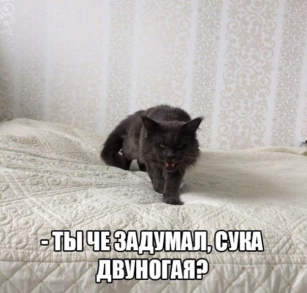 Подборка смешных, не очень и просто красивых фотографий. Часть 2