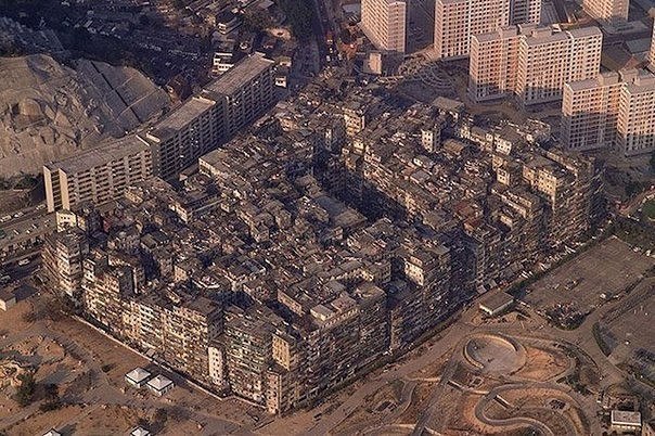 Ассорти картинок из сети