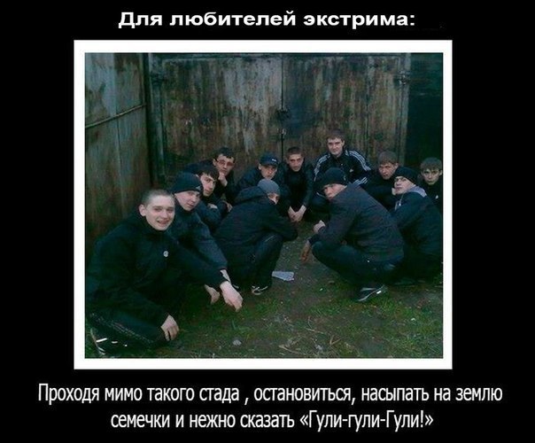 Ужасы и приколы из соцсетей 18+
