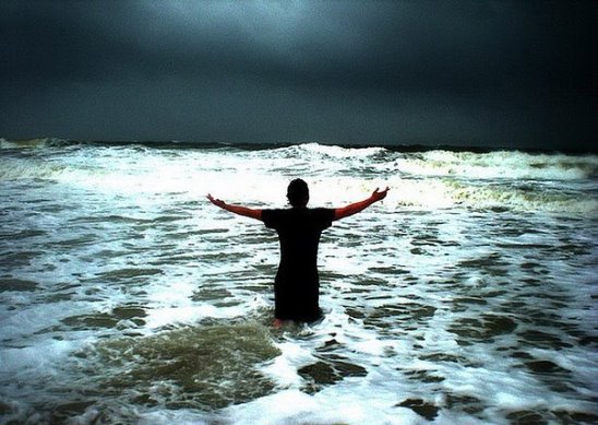 Картинки и приколы из сети