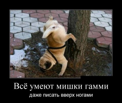 В преддверии упоротой пятницы