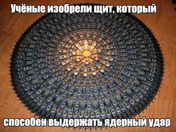Правдивые факты, о которых мы не знали