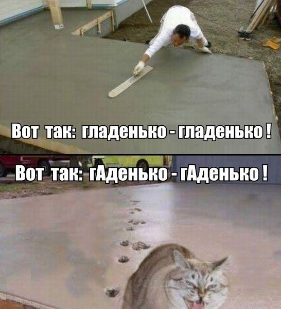 Коты проказники