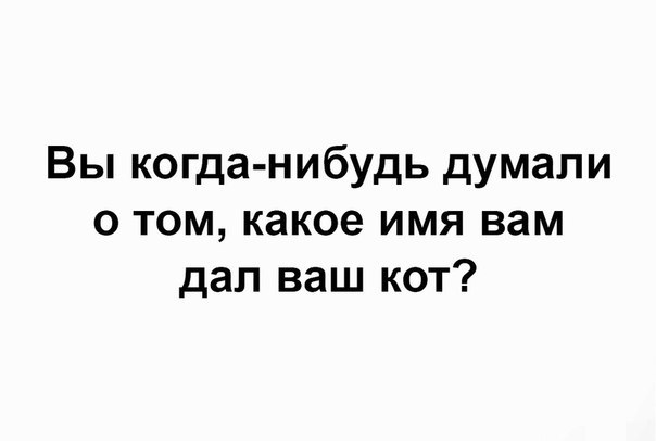 Очередная порция перлов