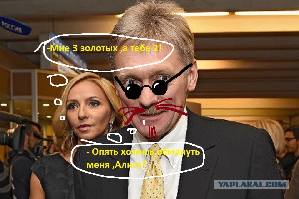 Кремль опубликовал данные о доходах Пескова и Навки (и другие доходы членов кабмина)