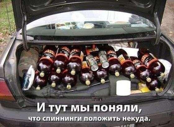 Подборка безудержного веселья