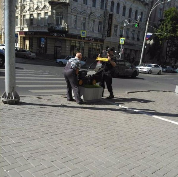 Смешные картинки