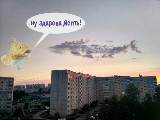 Подборка интересных и веселых картинок