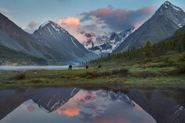 Фото интересные и не только