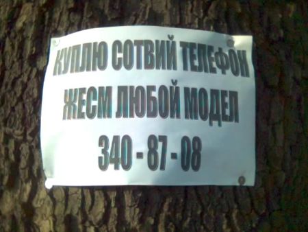 40 перлов