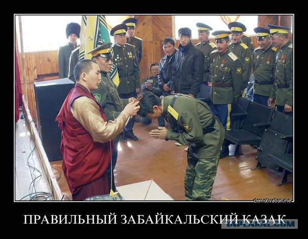 Что вы знаете о понтах?