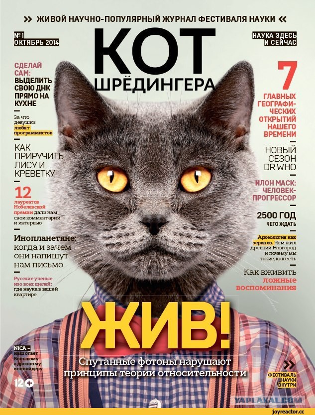 Отсутствие материи.
