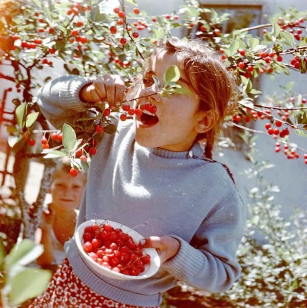 Советский Союз 1950-1960 гг. в объективе Всеволода Тарасевича