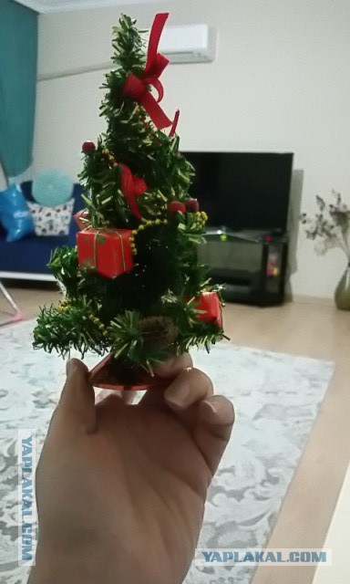 А давайте Ёлками меряться!?