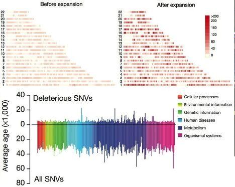 10 научных прорывов 2012 года