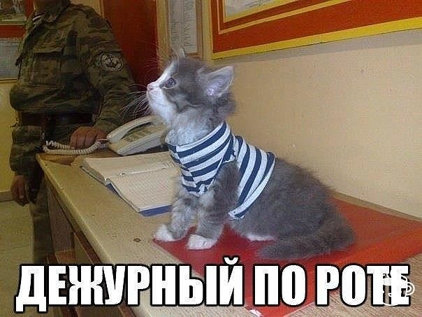 Подборка интересных и веселых картинок