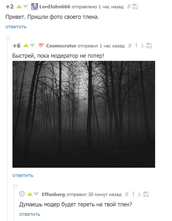 Комментарии от обладателей острых языков в интернете