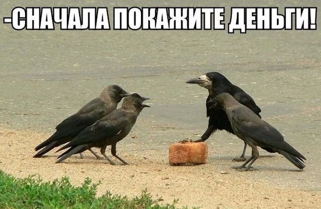 Немного картинок в эту субботу