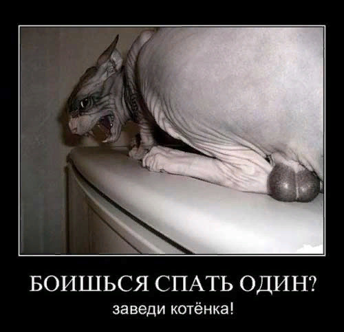 Прикалюхи