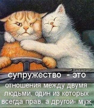 Картинки разные нужны, картинки всякие важны