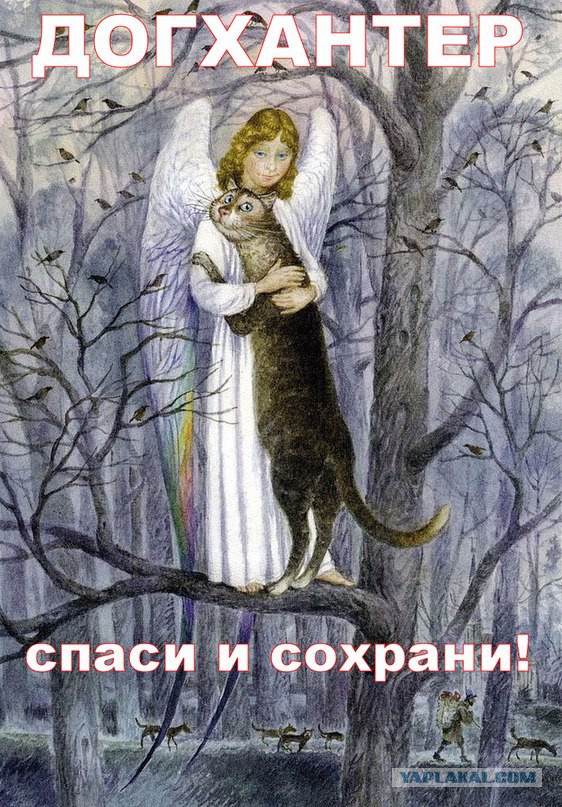 Во Владимире собаки насмерть загрызли молодого мужчину