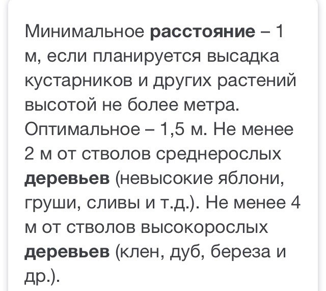 Можно ли сорвать яблоко с ветки, которая перевесилась на мой участок?