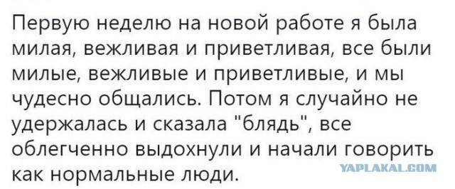 Кретинки