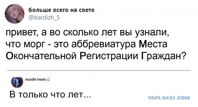 Чуток картинок 28.07.20