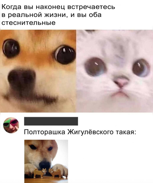 С новым...