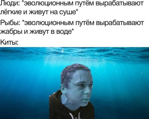 В наши руки попал сенсационный материал